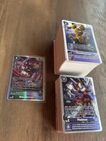Digimon TCG, EX-10 240 Karten Bulk/Lot aus C/UC/R und 1x SR