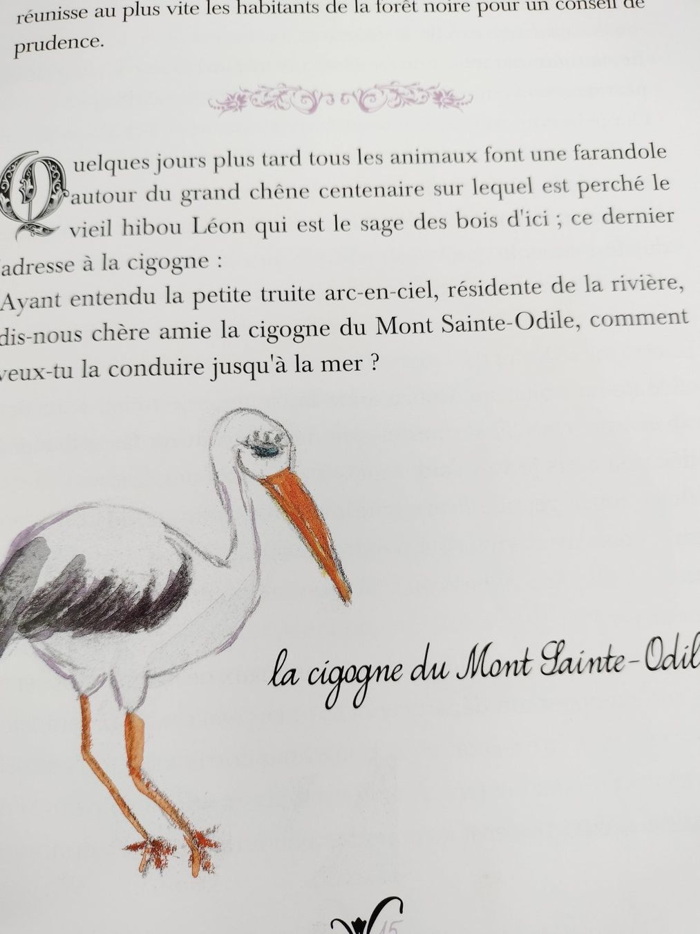 Bücher: Les contes de Noé – Gebraucht aus Cortaillod von rozinna 7