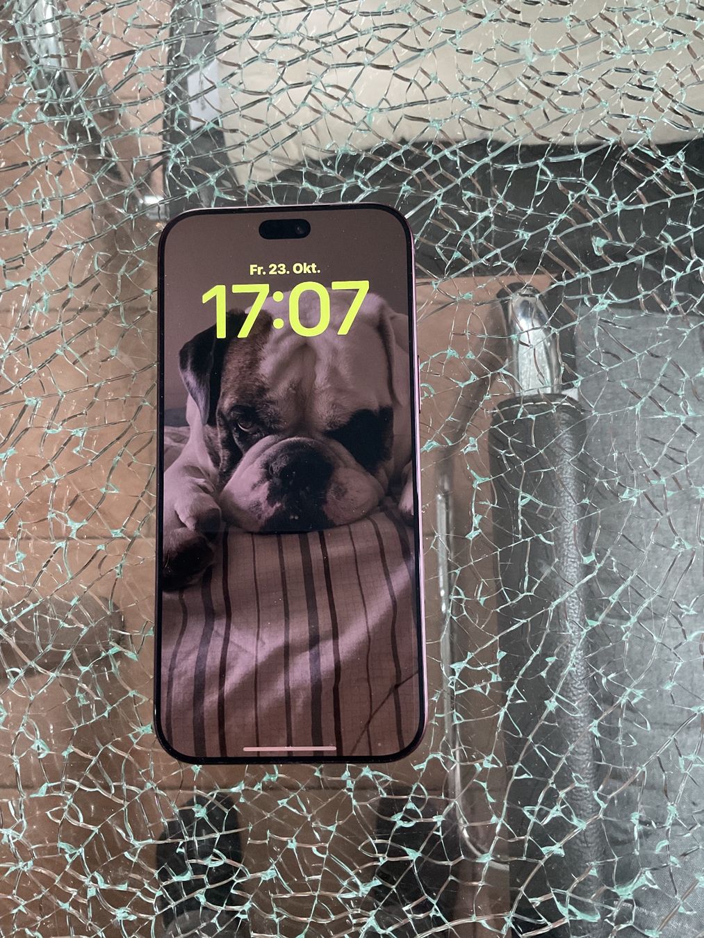 Apple Telefoni cellulari / Smartphones: iPhone 18 Pro Max Burgunder 512GB – Nuovo e nell'imballaggio originale da Oberembrach venduto da BulldoggBen9 1