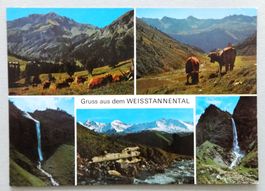 Gruss aus dem Weisstannental