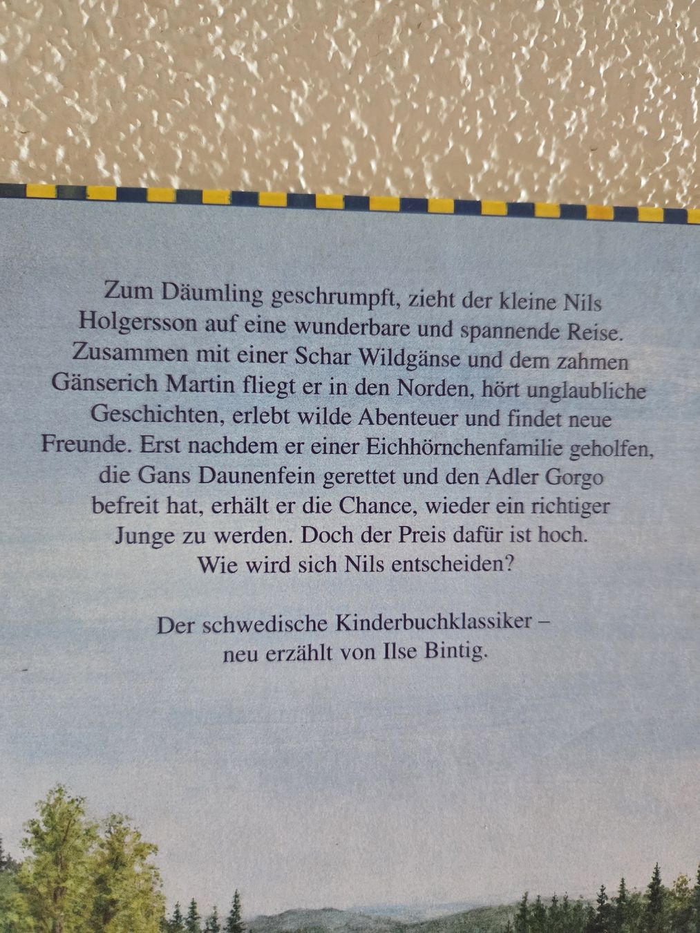 Libri: Kinderbuchklassiker: Nils Holgerssons wunderbare Reise – Usato da Schlierbach venduto da smeralda1313 1