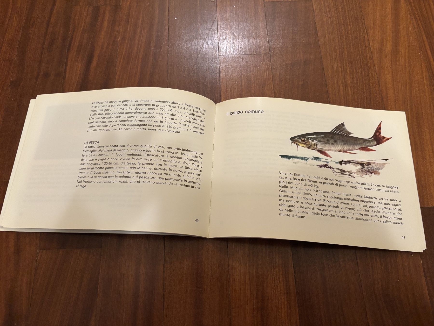 Libri: La Pesca nel Cantone Ticino – Usato da Lugano venduto da Mark_Young 1