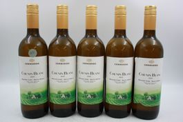 5x Zonneberg Chenin Blanc (26082461Z)