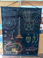 Vintage Schulkarte Lehrtafel Dr. Auzoux, S58, 1958 P. Sougy