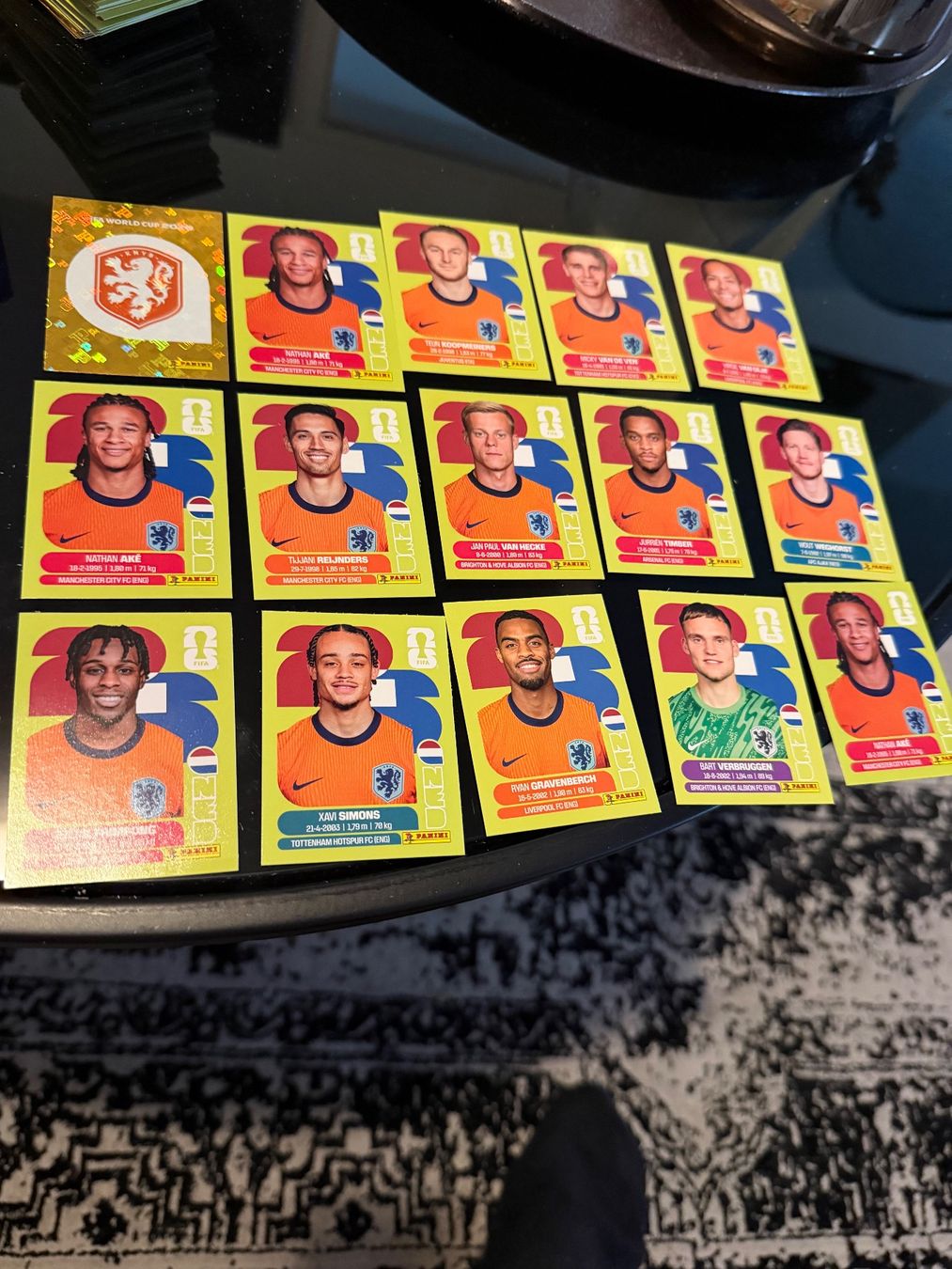 Panini Carte collezionabili: Panini World Cup 26 NED 15Stk – Usato da Wettingen venduto da NickInc