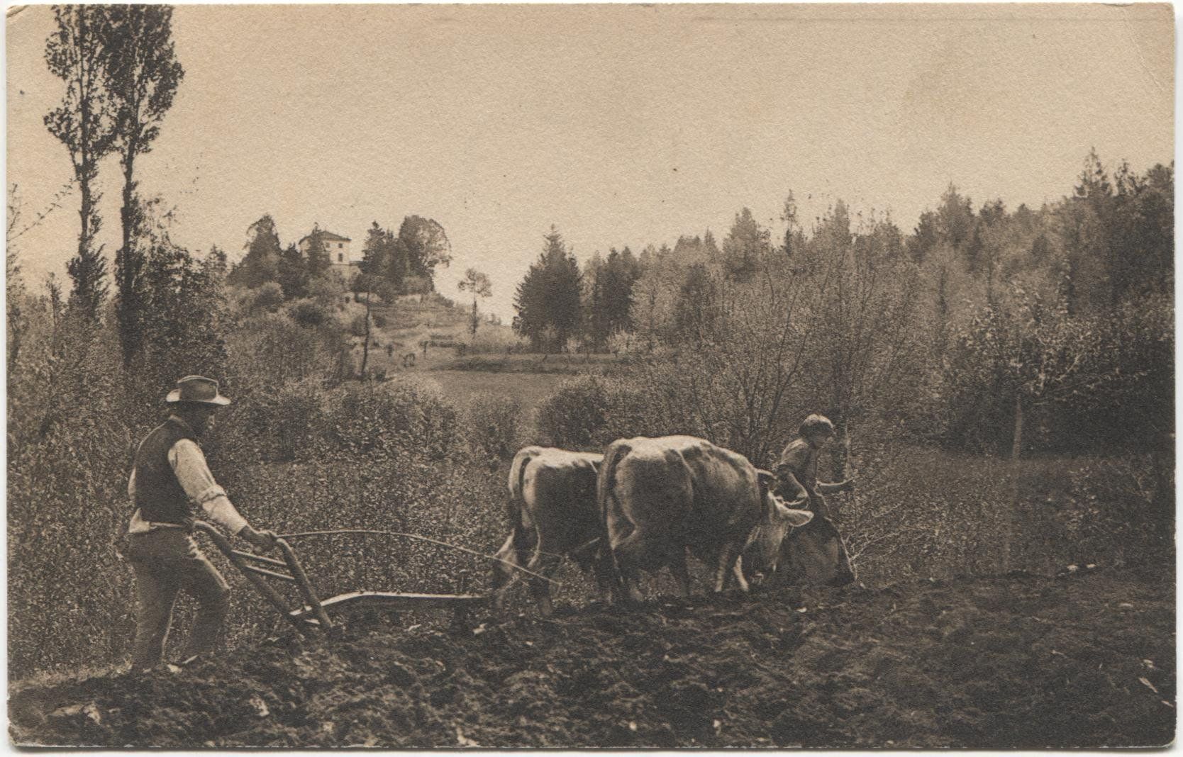 Cartoline postali: Landwirtschaft/Ackerbau 1916 Aargau oder Zürich – Usato da Rothrist venduto da Clanx