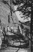 Rigi felsenweg