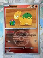 Pokémon TCG – Numel Quick Ball Pattern (ASC027)