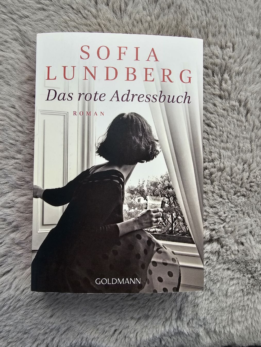 Libri: das rote Adressbuch – Usato da Bätterkinden venduto da Pescelino