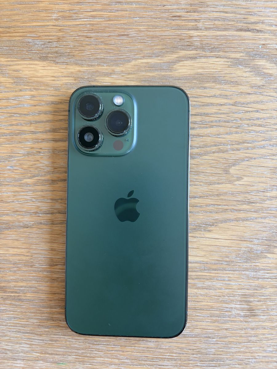 Apple Telefoni cellulari / Smartphones: iPhone 13 Pro 128 Go – Vert alpin – Usato da Lausanne venduto da van_np8s