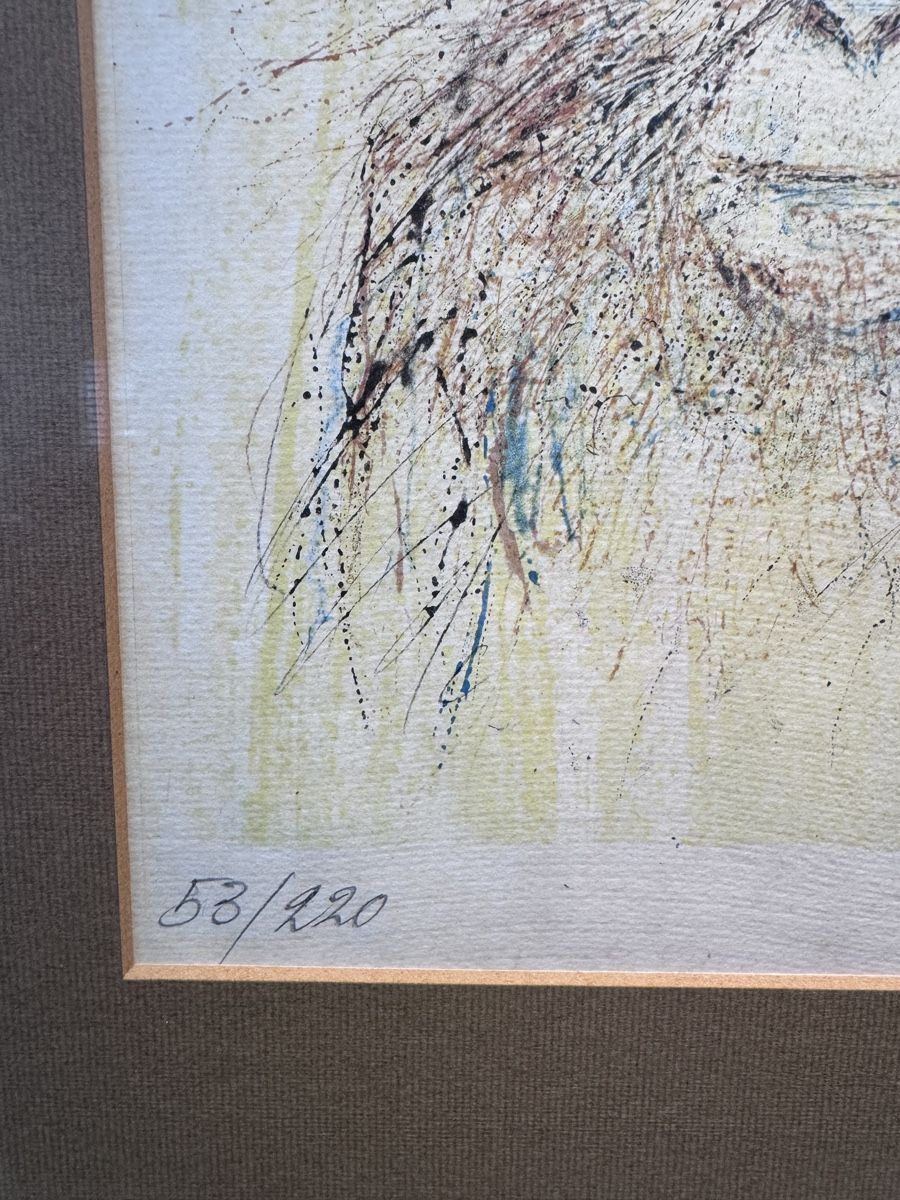 Grafica & Litografie: Fritz Hug Lithographie – Usato da Gränichen venduto da pra_62ts 2