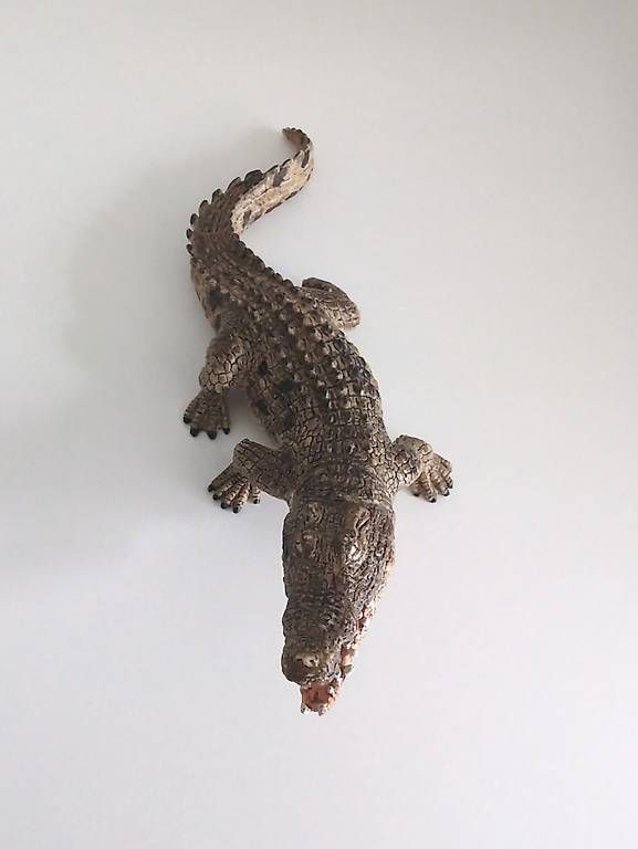 Schleich Spielzeuge: Schleich Krokodil – Neu (gemäss Beschreibung) aus Wangen b. Olten von kim_x9zn