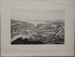 Zürich Vogelschauansicht seltene Lithographie von Arnout