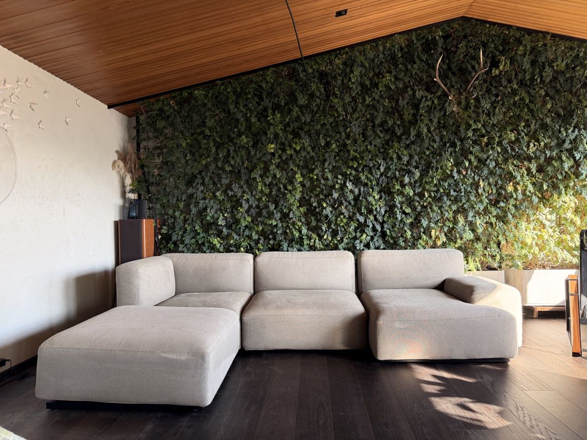 Divani: Cassina Mex Sofa – Usato da Oberuzwil venduto da artsilvan