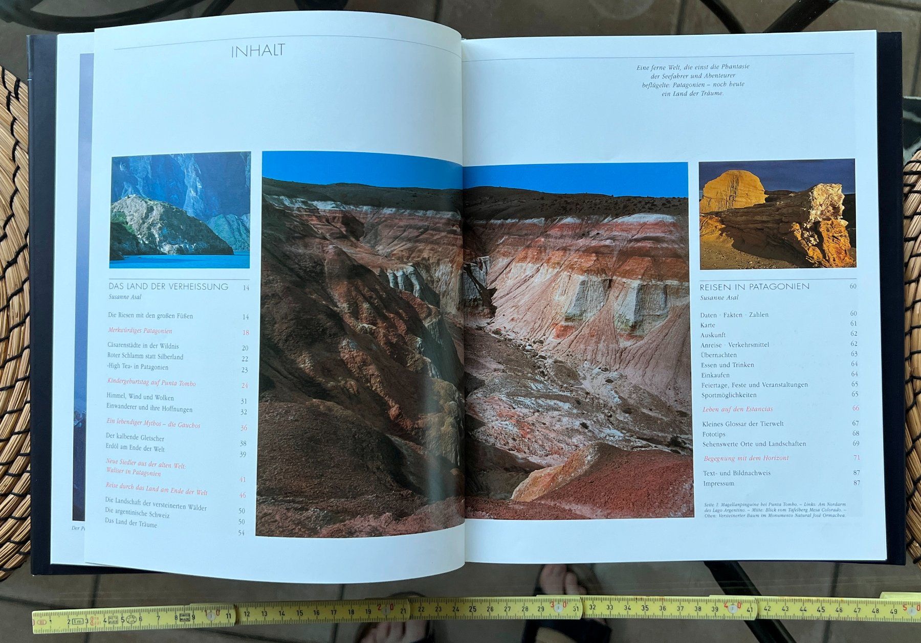 Libri: Buch Patagonien – Usato da Lodrino venduto da Stema 2