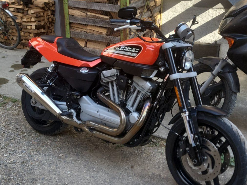 Harley-Davidson Strasse: Harley-Davidson XR 1200 – Gebraucht aus Gächlingen von C.Bilgeri