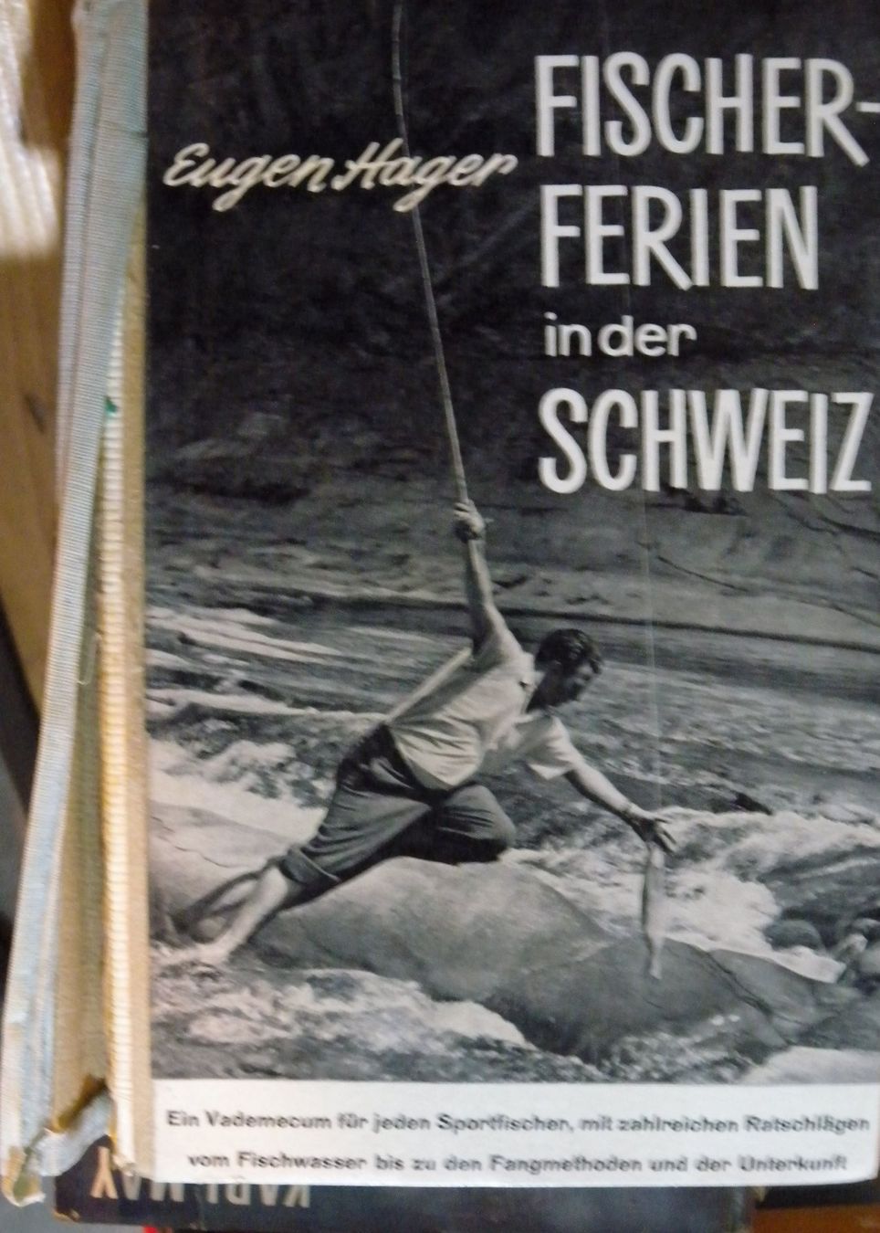 Libri: Fischer-Ferien in der Schweiz, Eugen Hager – Usato da Hauenstein venduto da davia72