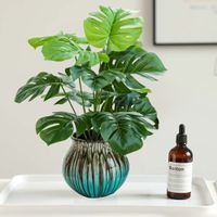 Plante Monstera Artificielle - 43cm - LIVRAISON GRATUITE