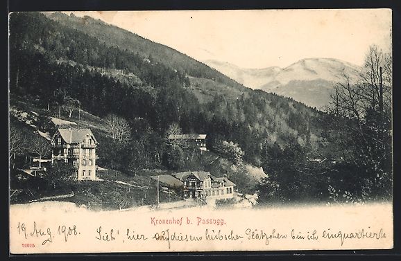 Cartoline postali: AK Passugg, Hotel Kronenhof, 1908 – Usato da Berlin venduto da bartko-reher