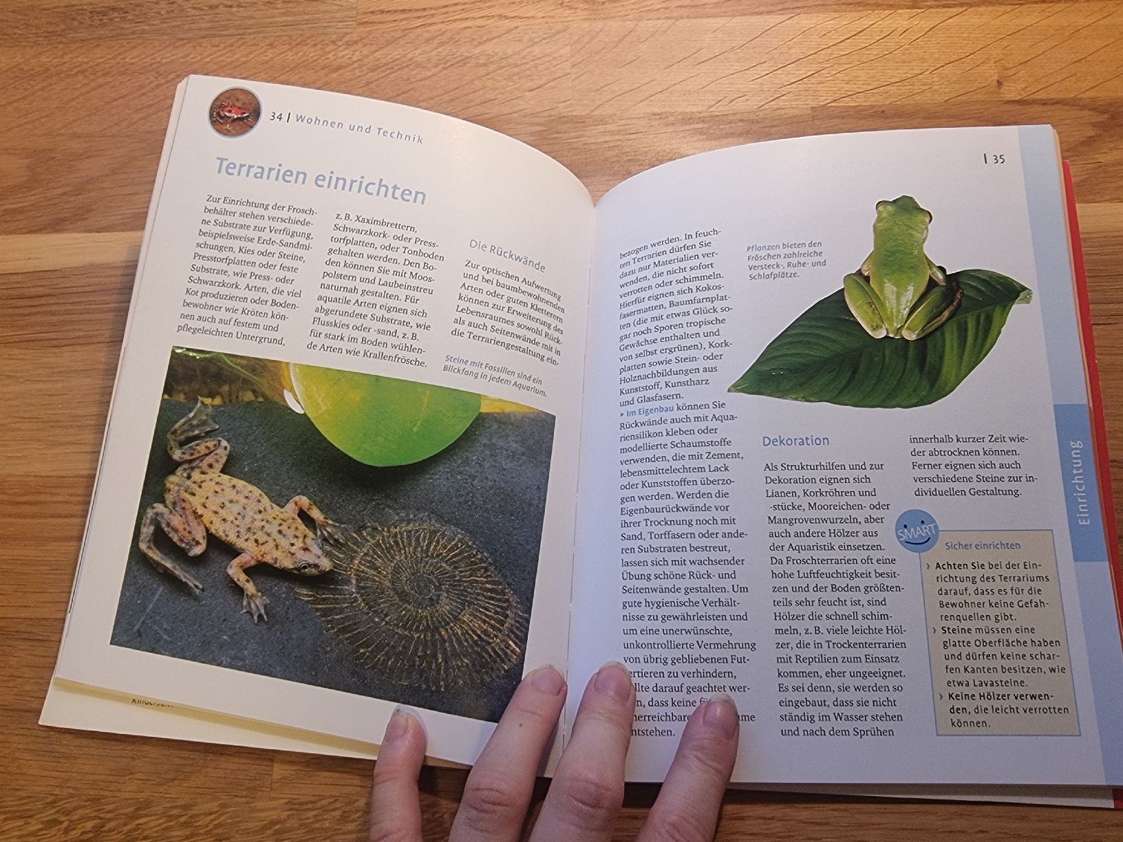 Libri: Frösche: exotisch, farbenfroh, aktiv – Nuovo (secondo la descrizione) da Derendingen venduto da Sarah.jana 2