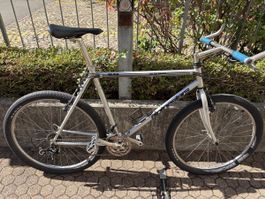 Alpina CR D560 Retro Mountainbike