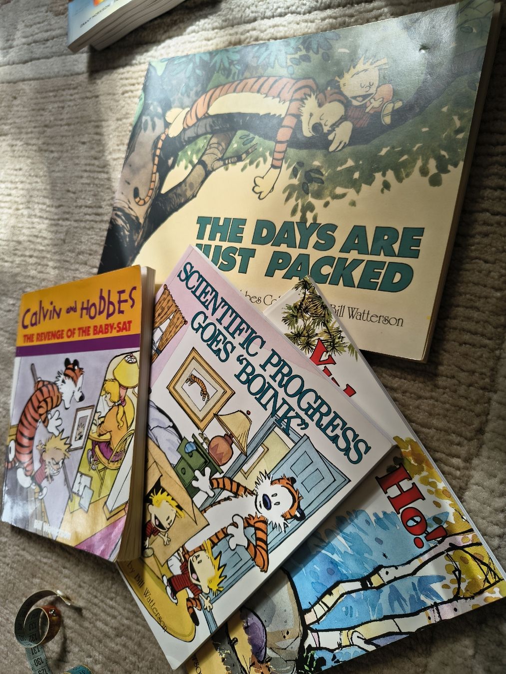 Fumetti: Calvin and Hobbes comics – Usato da Dornach venduto da Fabisee 1