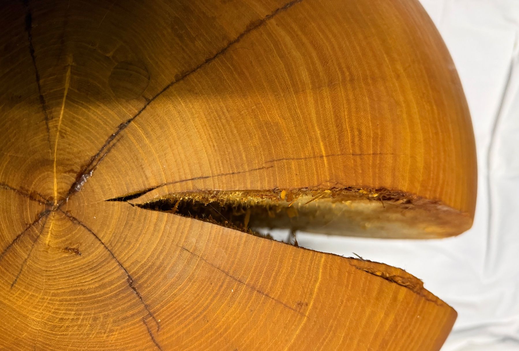 Articoli in legno: Holzkugel Esche; 52 cm; geölt – Nuovo (secondo la descrizione) da Wildberg venduto da Melramos04 2