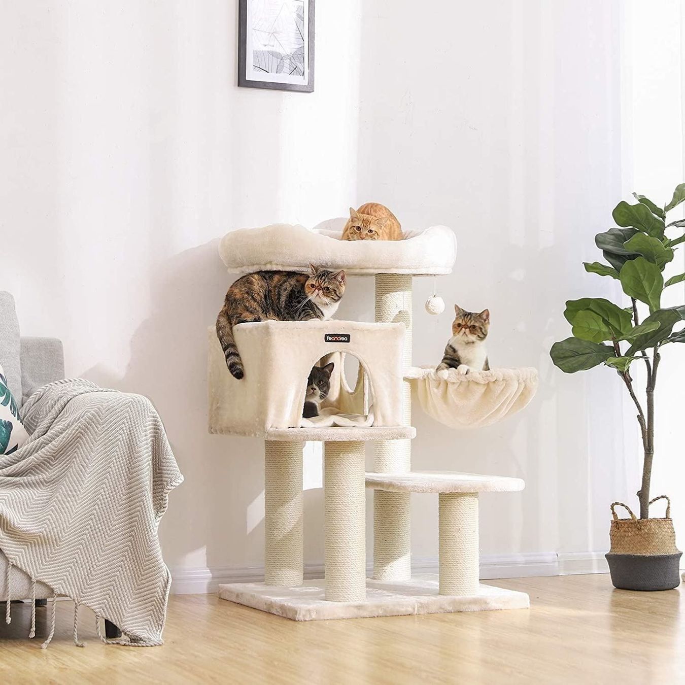 Katzenbaum - Kratzbaum: FEANDREA Kratzbaum 112 cm Beige – Neu und originalverpackt aus Bottighofen von zaap 2