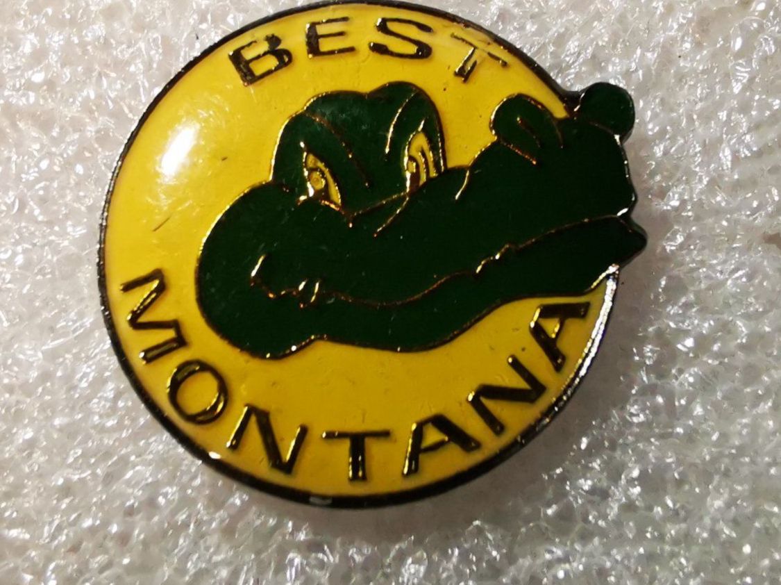 Plaketten & Abzeichen: Ansteckpin 4: Best Montana – Gebraucht aus Oppligen von Pin-Fall-Shop