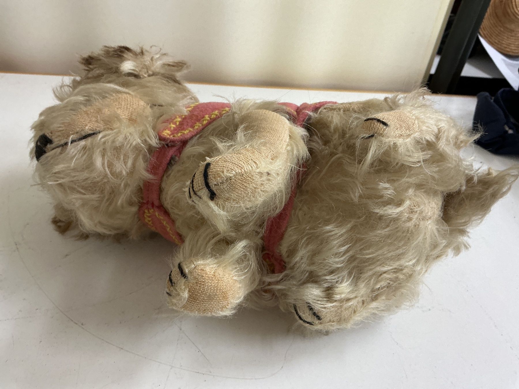 Giocattoli: Steiff Molly Hund – Usato da Bern venduto da vielerart 3