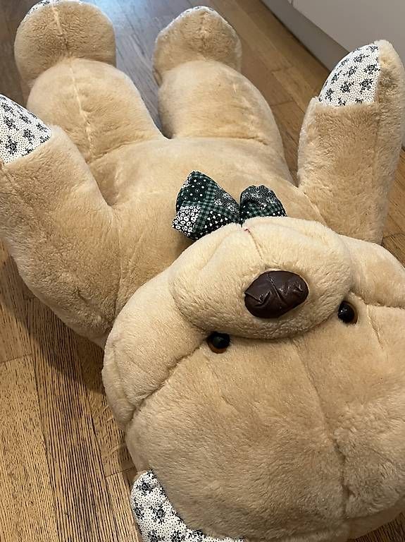 Giocattoli: Grosser Teddybär – Usato da Wädenswil venduto da esp_z8tb 3