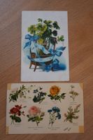2 Ansichtskarten Blumenmotive Blumensprache Glücksklee