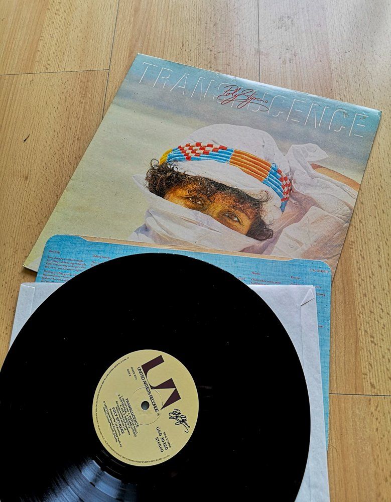 Dischi in vinile: Poly Styrene - Translucence (New Wave 1981) – Usato da Sargans venduto da Botanico 2