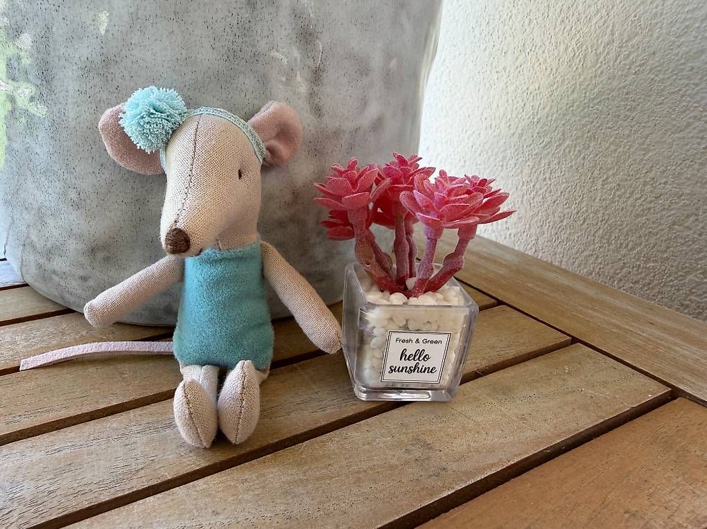 Jouets: Pflanze für Puppenhaus oder Maileg Mäuse – Neuf (Voir description) à Richterswil par binchen03 2