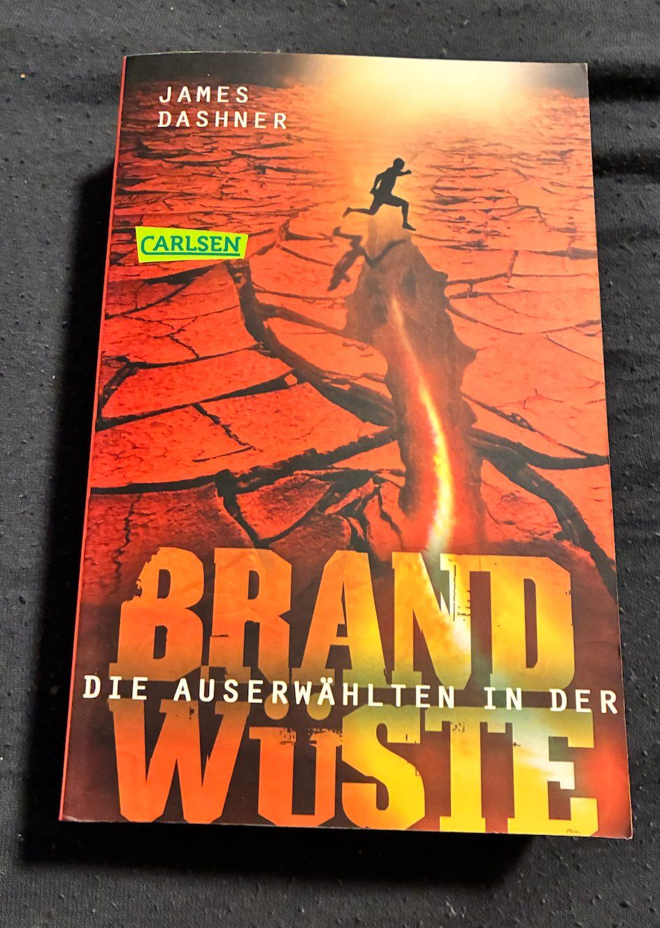 Bücher: Die Auserwählten in der Brandwüste – Gebraucht aus Uster von ali_mp6n