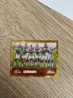 Panini FWC 18