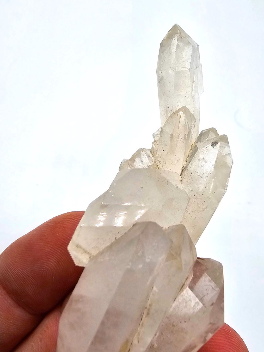Minerali & Pietre curative: Quartz (faden) Piz Beverin, Mathon, Schams, Grisons – Usato da Figino venduto da minshop 4