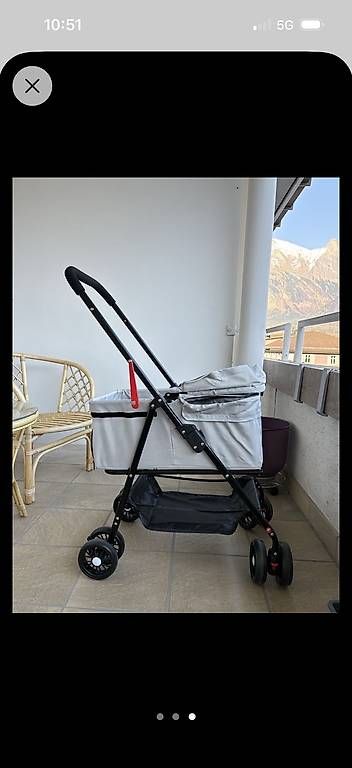 Kinderwagen Zubehör: Hunde & Katzen Wagen – Neu und originalverpackt aus Bad Ragaz von Mercedes1983 1
