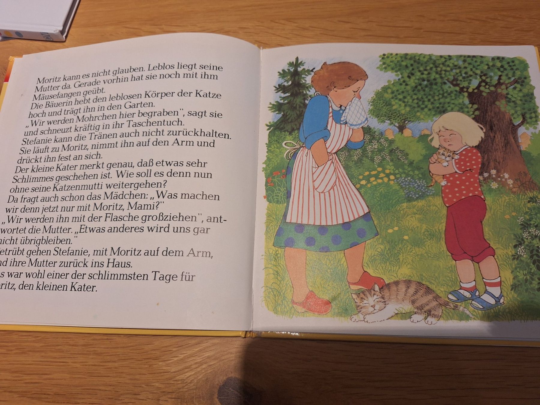 Libri: Kinderbuch Kater Moritz und Hasso – Usato da Wanzwil venduto da chlinih93 1