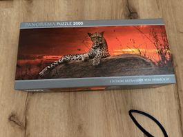Panorama Puzzle 2000 Teile Leopard Alexander von Humboldt