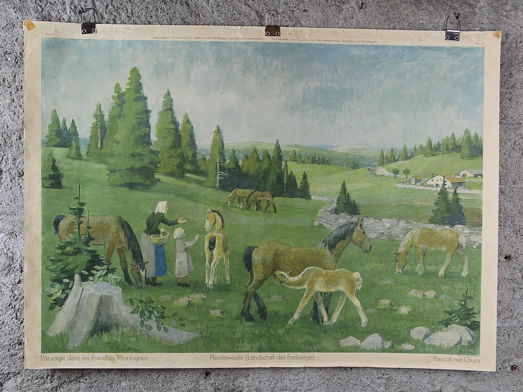 Posters & Illustrations: Schulwandbild "Pferdeweide" – D'occasion à Birrwil par brandschatz_birrwil 1