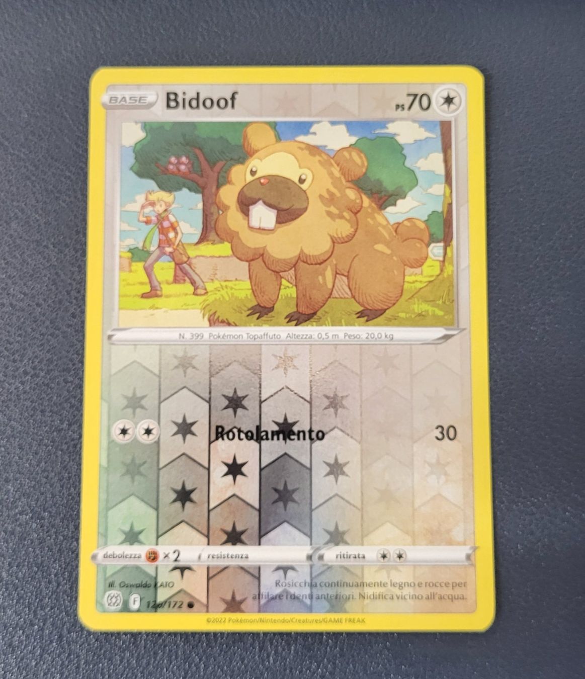 Pokémon Carte collezionabili: Pokemon 120/172 Bidoof Comune Reverse ITA – Usato da Lugano venduto da pan_5zpg