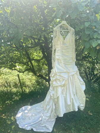 Dream Wedding Dress - Pronovias Bridal - Size 10👰