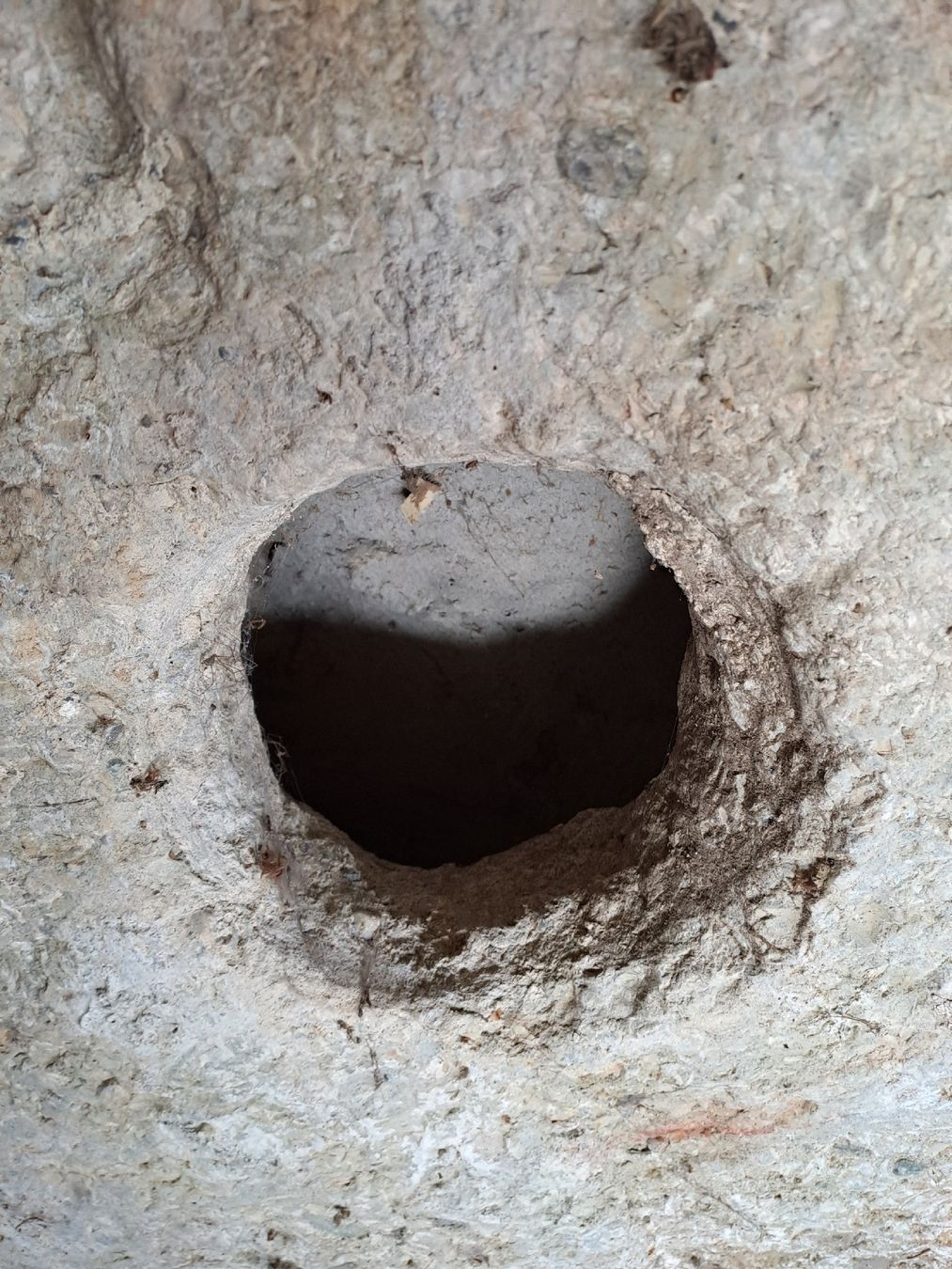 Piatti di portata: Alte Betontischplatte – Usato da Belp venduto da jkunzi 6