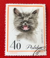 Briefmarken aus Polen  gestempelt.  Siehe Original Fotos. ﻿ 