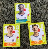 Panini Stickers