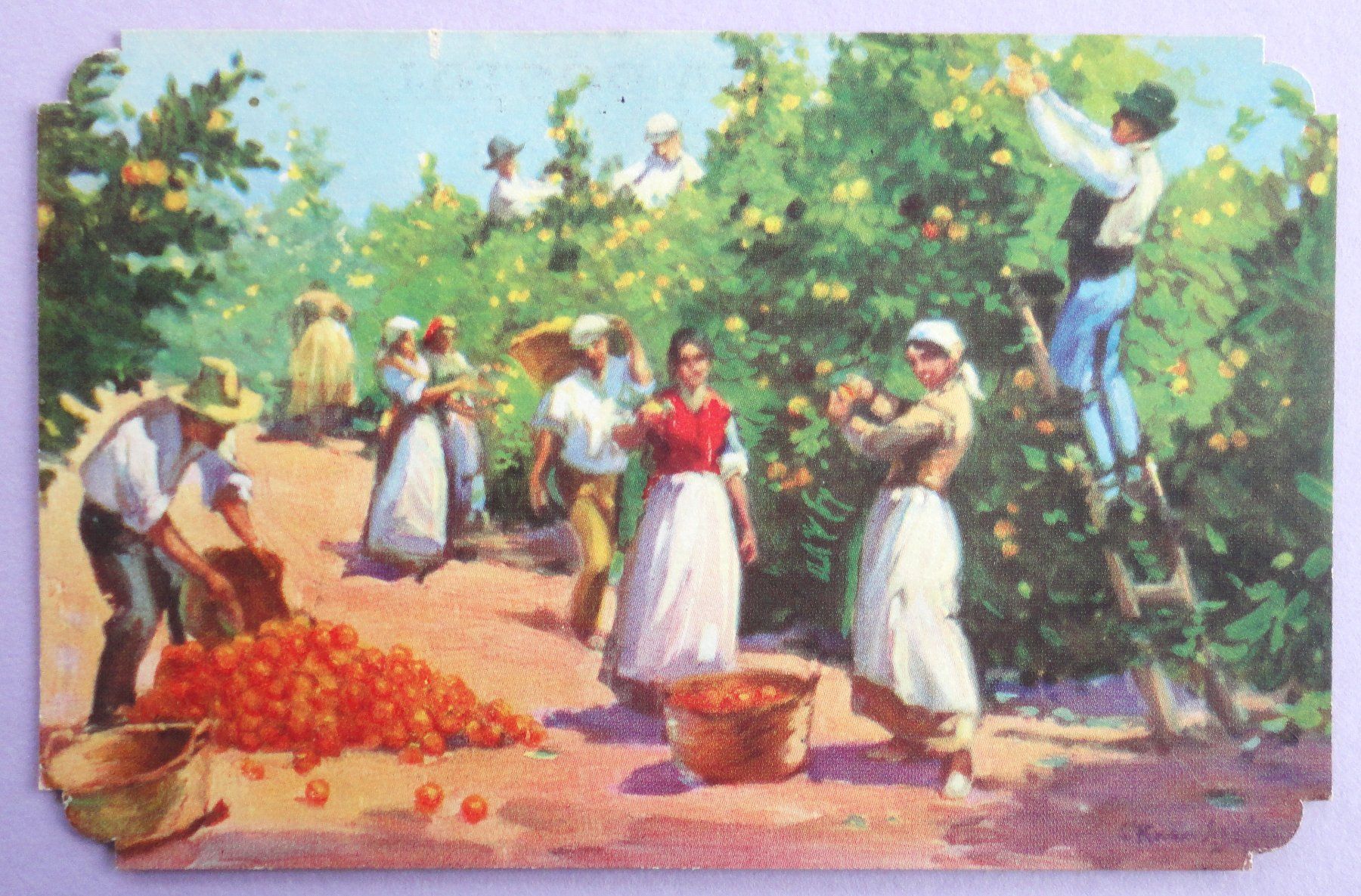 Cartoline postali: Espagne - Récolte des oranges – Difettoso da Fétigny venduto da Billy2miny