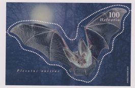 57 x Fledermaus