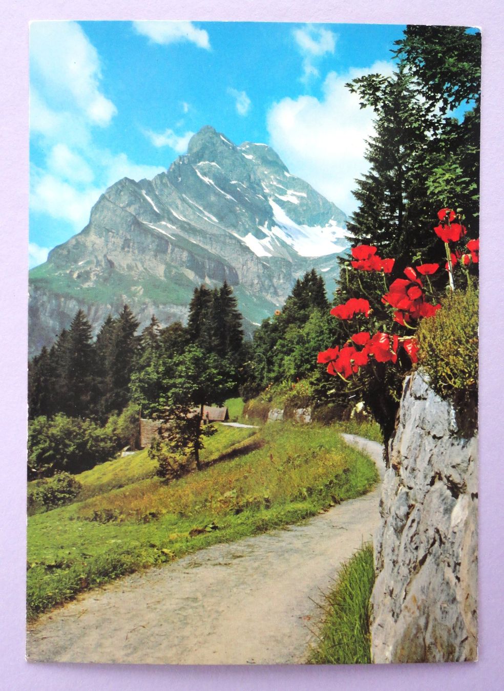 Cartoline postali: Braunwald - Blick gegen Ortstock – Usato da Fétigny venduto da Billy2miny