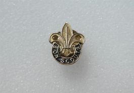 Pfadfinder Abzeichen Boy Scouts